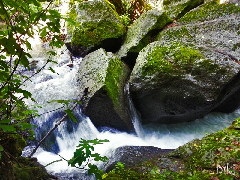 calcata-cascata.jpg