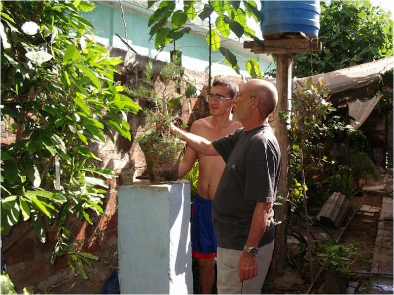 bonsai-cuba.jpg